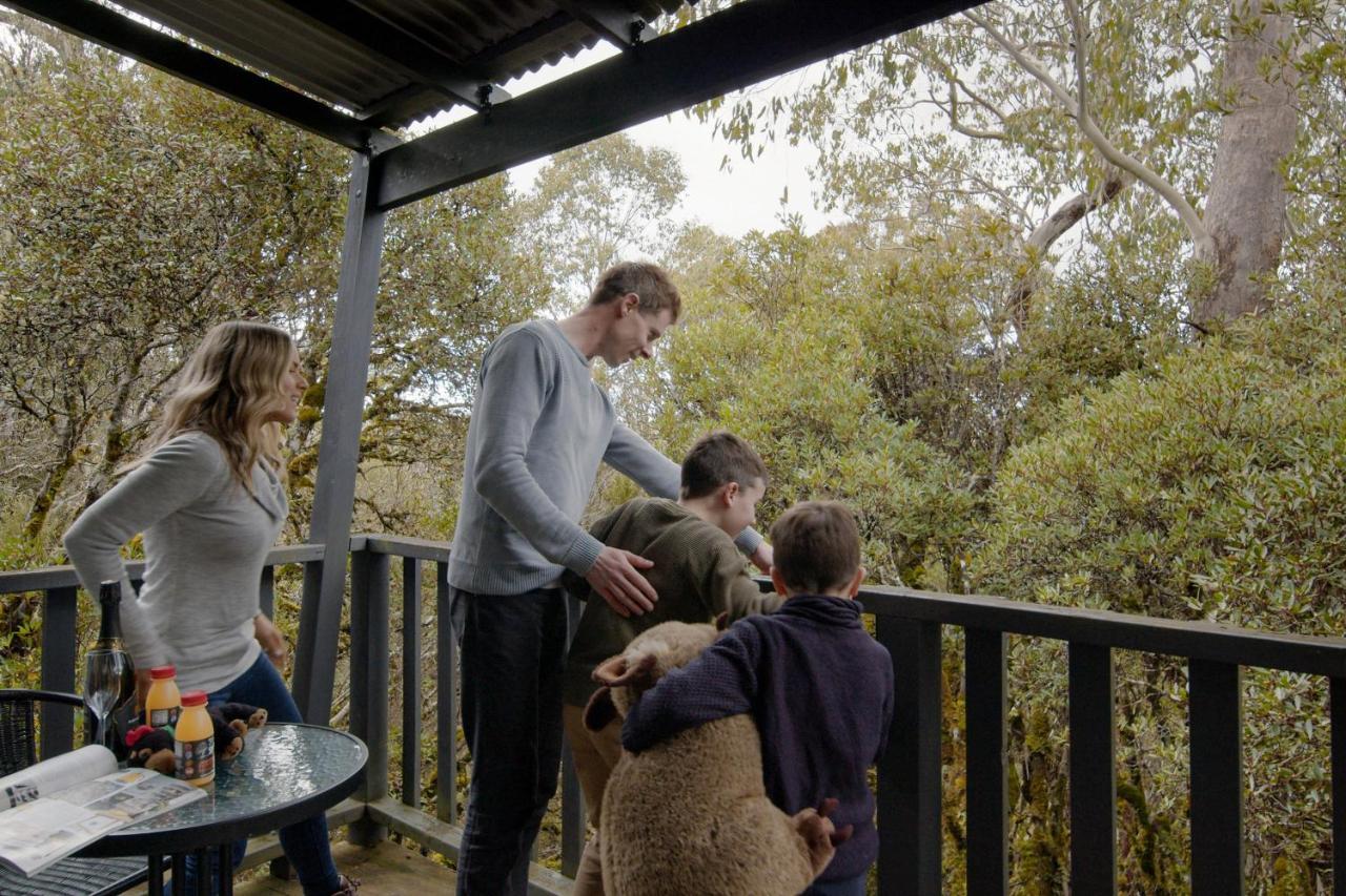 Discovery Resorts - Cradle Mountain Luaran gambar